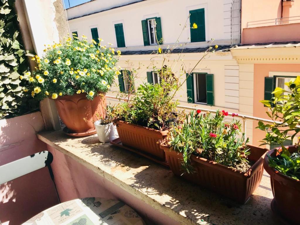 Green Guesthouse ローマ エクステリア 写真