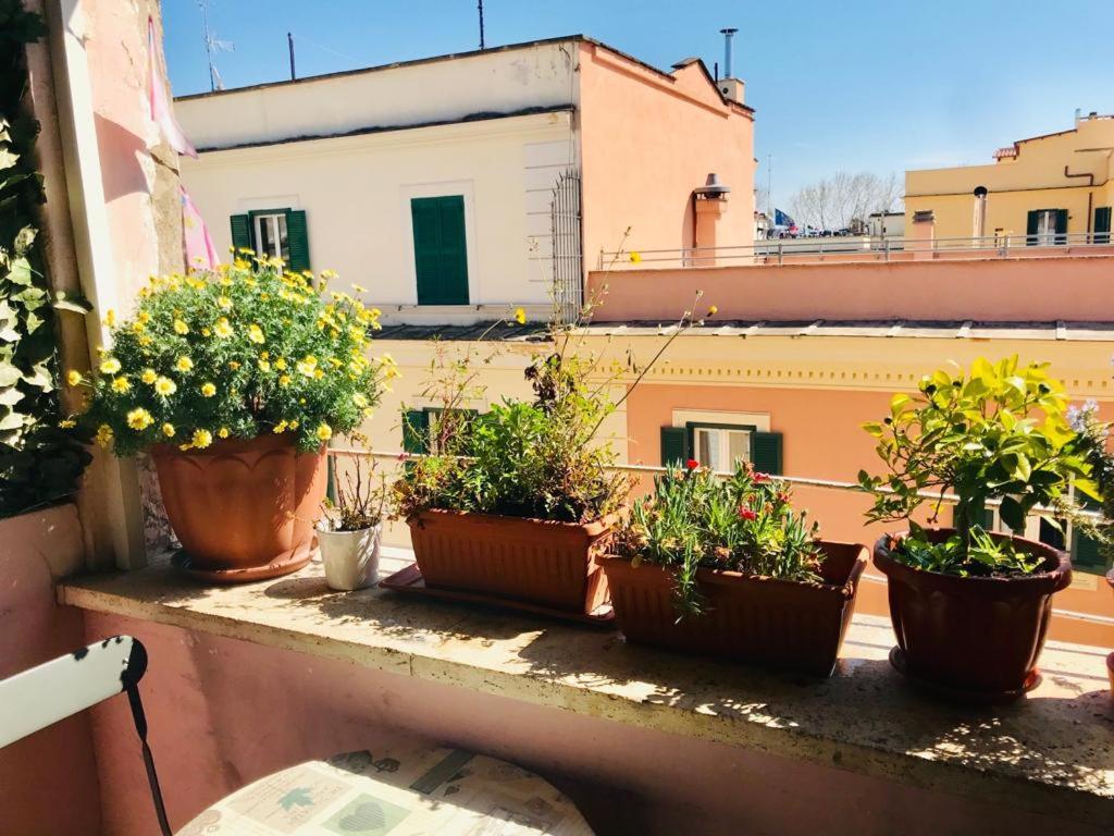 Green Guesthouse ローマ エクステリア 写真