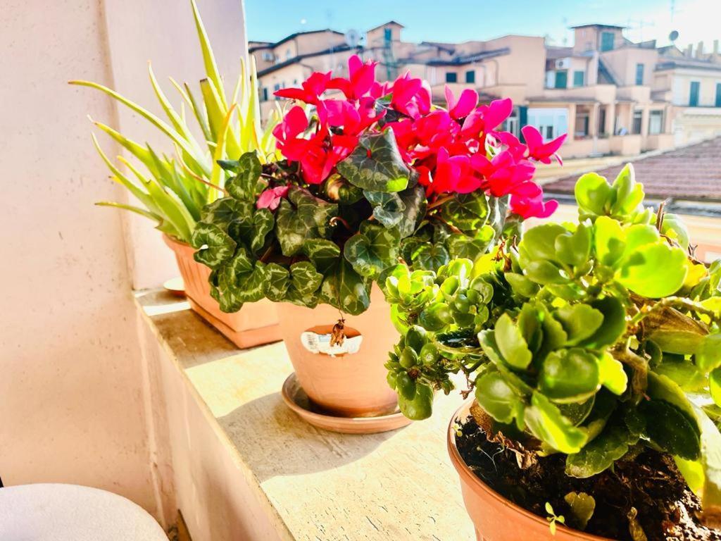 Green Guesthouse ローマ エクステリア 写真