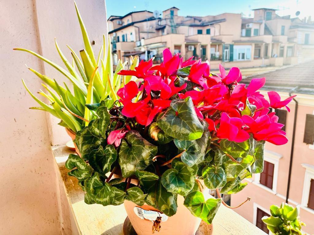 Green Guesthouse ローマ エクステリア 写真